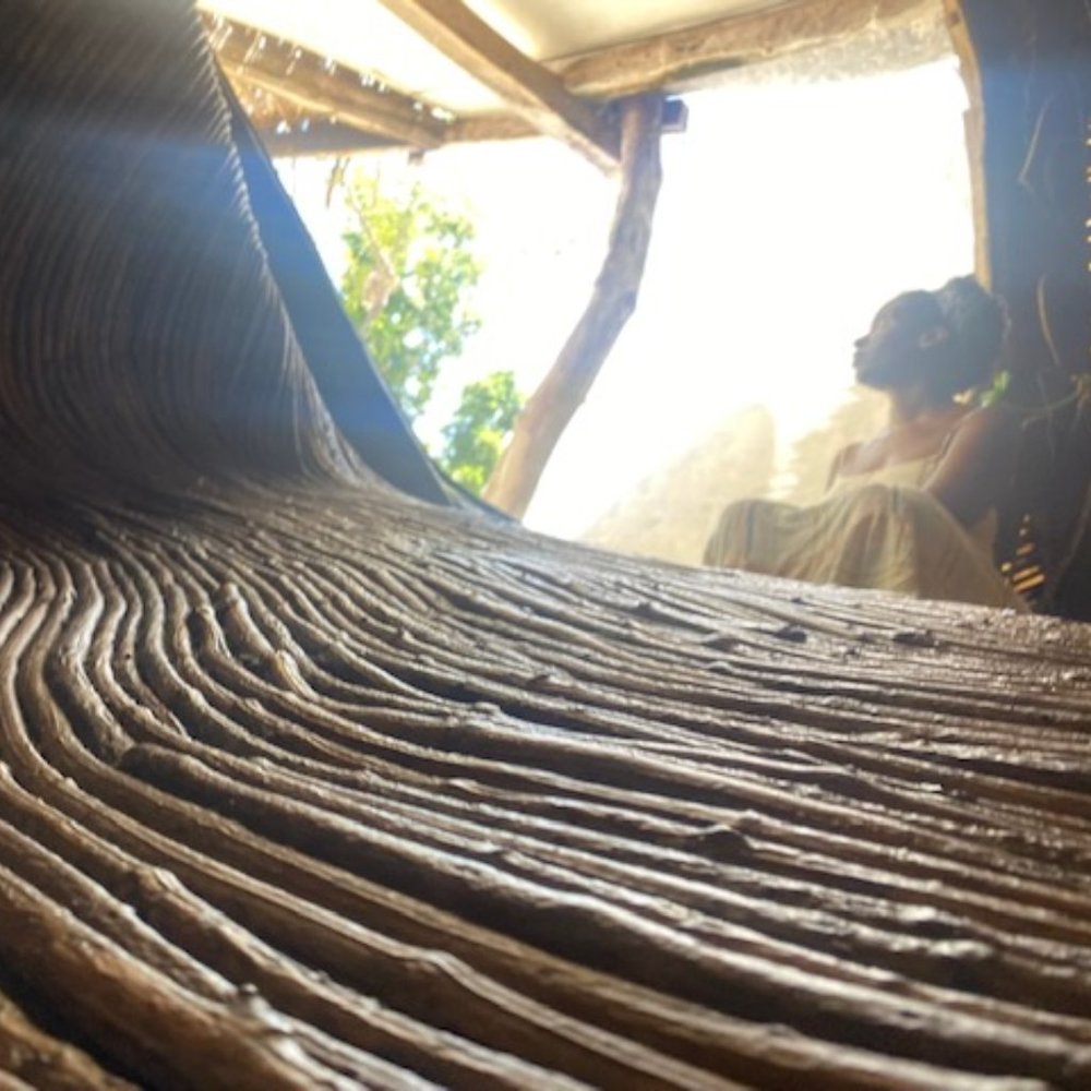 LIVE SHOW NOTIFICATIONS